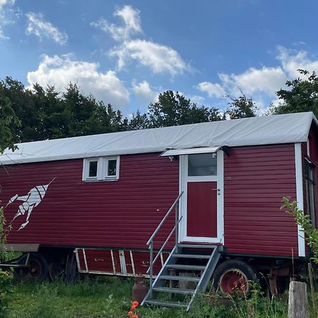 Zirkuswagen Nahe Ostsee Und Schlei Wagersrott Экстерьер фото