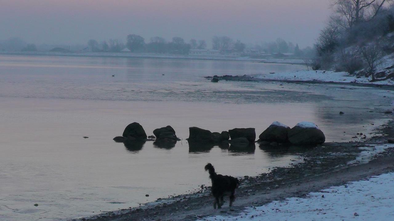 Zirkuswagen Nahe Ostsee Und Schlei Wagersrott Экстерьер фото